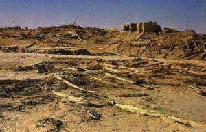 息國故城遺址 息國故城遺址