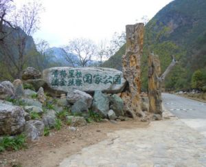 滇金絲猴國家公園 滇金絲猴國家公園