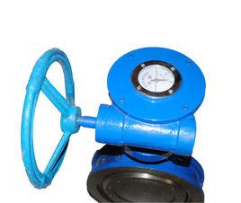 安徽紅星閥門有限公司 安徽紅星閥門有限公司