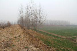 鍾離城遺址 鍾離城遺址