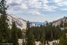約塞米蒂國家公園