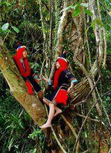 百色大王嶺原始森林景區