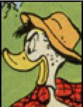 懷特沃特&middot;達克