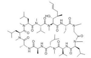 結構式觀察 結構式觀察