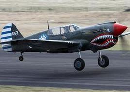 霍克81A-2戰鬥機 霍克81A-2戰鬥機
