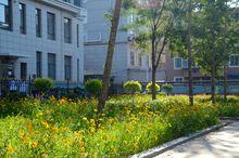 遼西育明高級中學