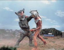 美菲拉斯星人二代對戰泰羅