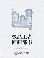 極品王者回歸都市 極品王者回歸都市