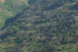 三家村自然村 三家村自然村