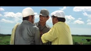 A Distant Cry from Spring