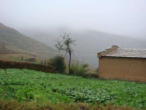 大陷塘自然村 大陷塘自然村