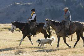 遊牧民族[以遊牧為主要生活方式的民族]