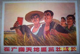 知青上山下鄉 知青上山下鄉