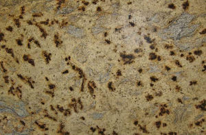 金色波浪 | Golden Wave |