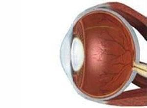 晶狀體囊 晶狀體囊