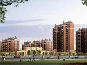 中體奧城國際 中體奧城國際