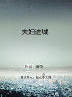 夫婦進城 夫婦進城