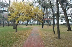 遼寧省實驗中學