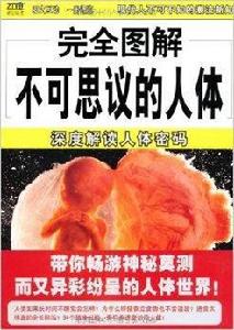 不可思議的人體 不可思議的人體