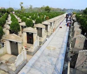 蘇州墓地限購政策