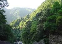 桃源洞國有林場 桃源洞國有林場