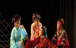 太康道情戲 太康道情戲