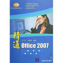 精通Office2007 精通Office2007