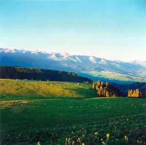 神奇的盆地——博孜阿德爾