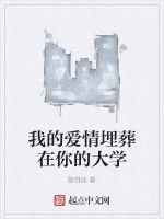 我的愛情埋葬在你的大學