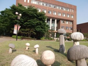 敬仁女子大學 敬仁女子大學