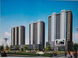 桐城中央 桐城中央