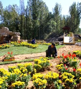 天河川林下公園