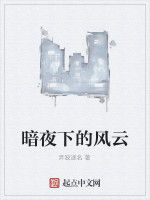 暗夜下的風雲 暗夜下的風雲