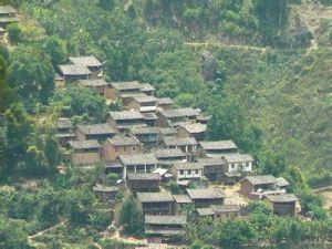 竹林頭自然村 竹林頭自然村