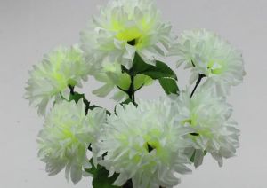 塑膠兄弟 塑膠兄弟