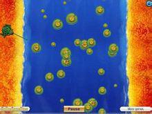 大青蛙小荷葉 大青蛙小荷葉