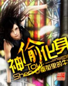 神偷化身 神偷化身