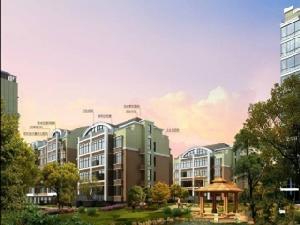 隆鑫盛景 隆鑫盛景