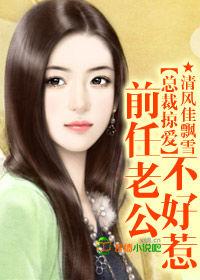 總裁掠愛:前任老公不好惹 總裁掠愛:前任老公不好惹