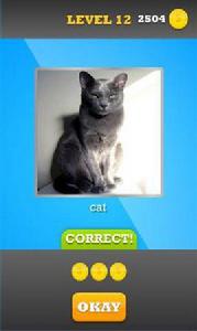 特寫照片 特寫照片