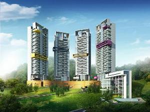 新天半山 新天半山