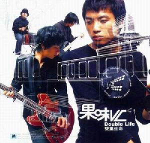 《雙重生命》封面海報