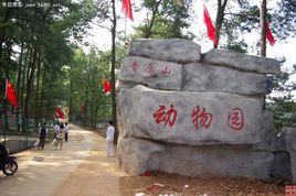 吉安動物園 吉安動物園