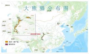 大熊貓分布圖