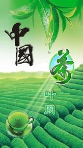 中國茶葉網
