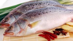 江東鱸魚 江東鱸魚