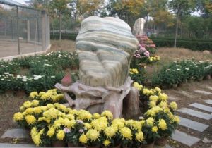 開源森林公園 開源森林公園