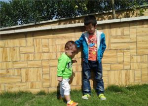 陪弟弟玩耍的哥哥