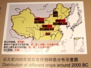 《文明之起源》 《文明之起源》