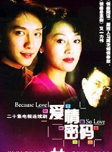 愛情密碼[2001年王姬馮紹峰主演電視劇]